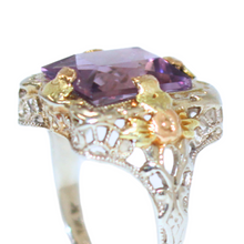 Load image into Gallery viewer, Tutone Amethyst Ring
