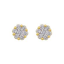 Load image into Gallery viewer, 10ky 3/4ctw Diamond Cluster Earrings
